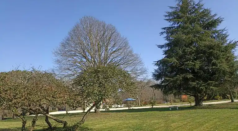 Apartment in Saint-Laurent-des-Vignes