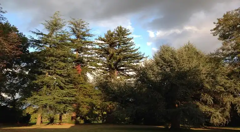 Sommerhus i Montignac