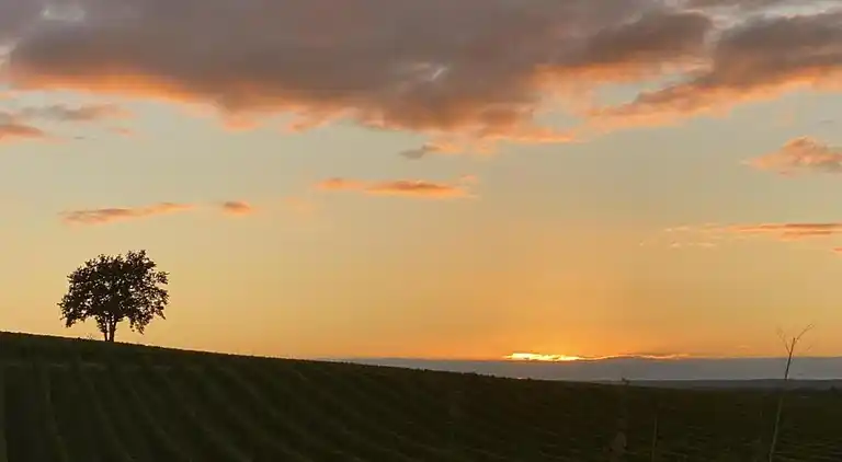 Sommerhus i Montignac