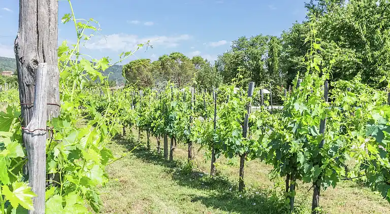 Casa de vacaciones en San Martino