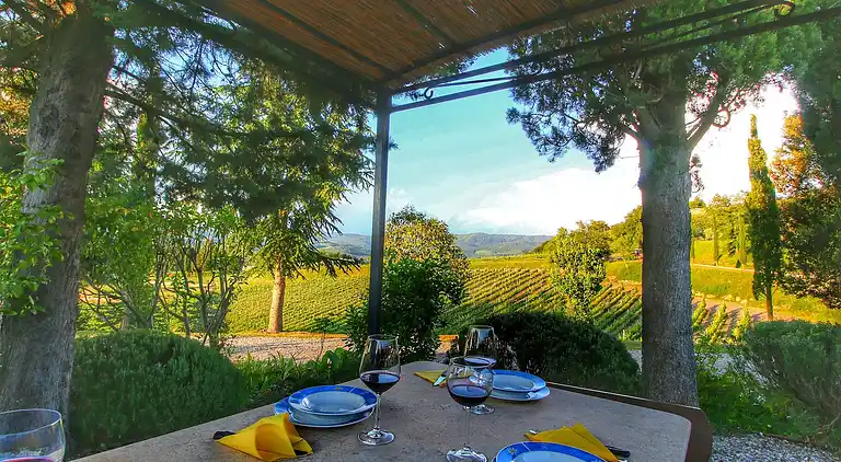 Apartment in Radda in Chianti