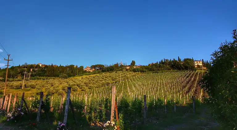 Apartment in Radda in Chianti