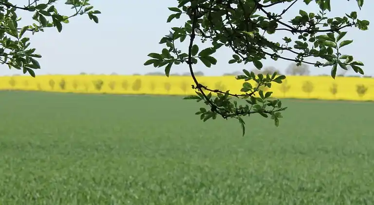 Apartment in Redewisch