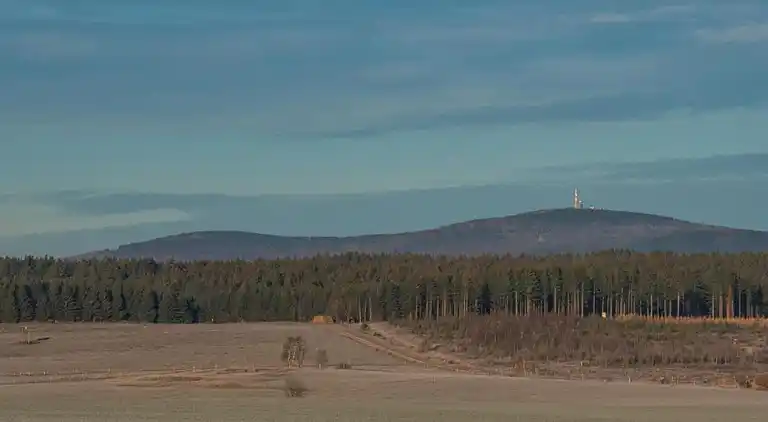 Sommerhus i Weddersleben