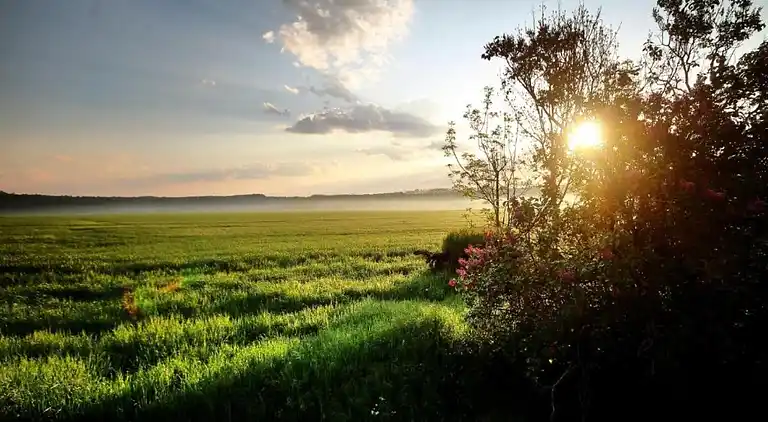Sommerhus i Weddersleben