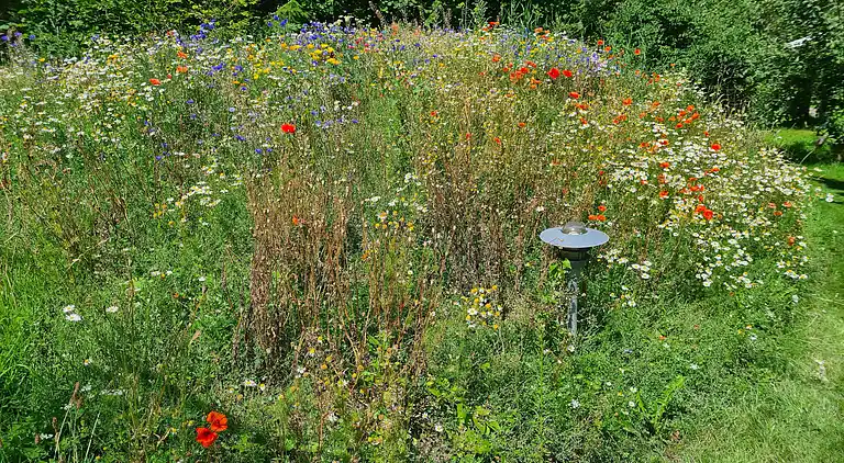 Feriebolig i Sjællands Odde