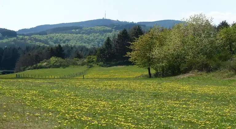 Appartement en Dreislar