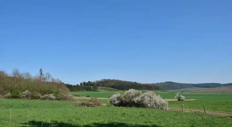 Appartement en Dreislar