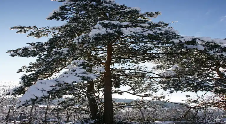 Ferielejlighed i Hüttenthal