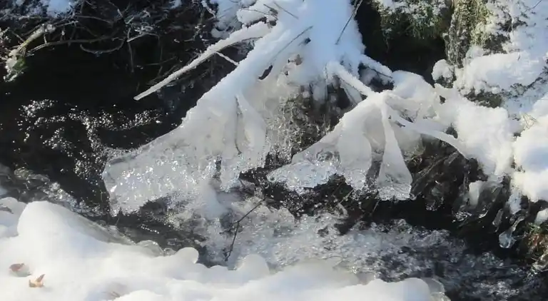 Appartement en Dreislar