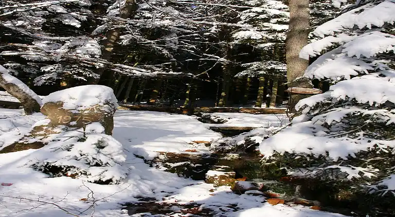 Ferielejlighed i Hüttenthal