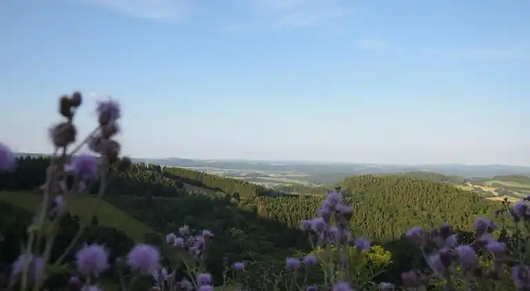 Appartement en Dreislar