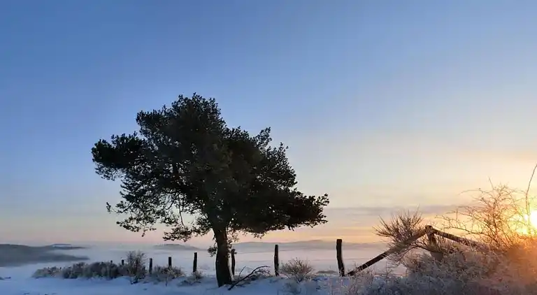 Appartement en Dreislar