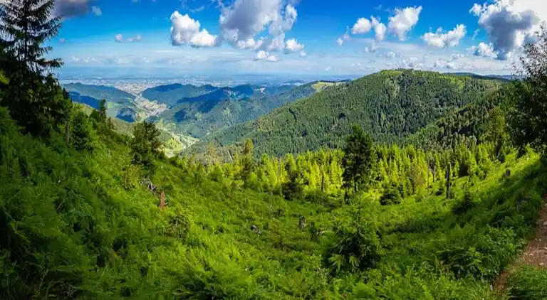 Ferielejlighed i Kniebis