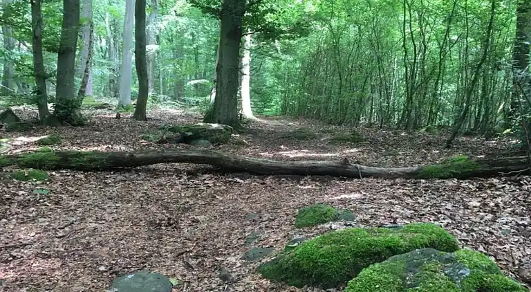 Ferienwohnung in Ellar