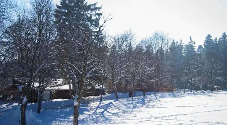 Ferielejlighed i Kniebis