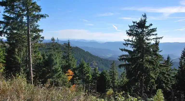 Ferielejlighed i Kniebis