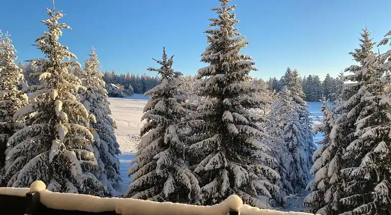 Ferielejlighed i Kniebis