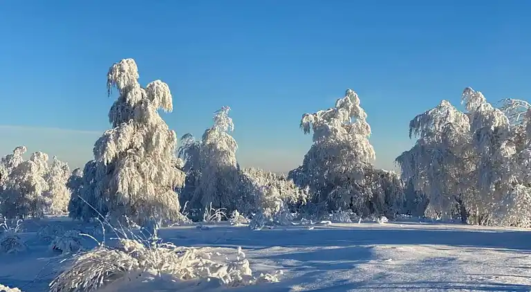 Ferielejlighed i Kniebis