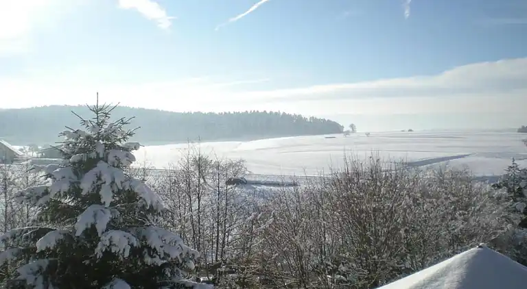 Ferielejlighed i Waldachtal