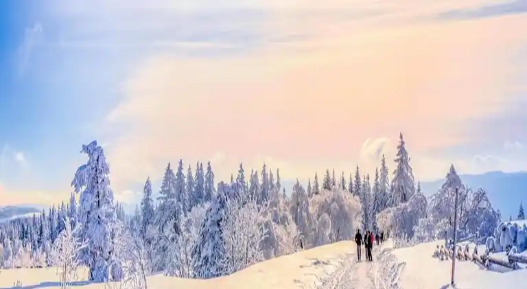 Ferielejlighed i Kniebis