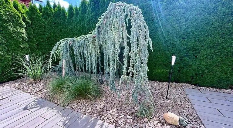 Ferielejlighed i Waldachtal