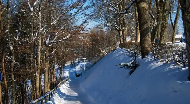 Ferielejlighed i Kniebis