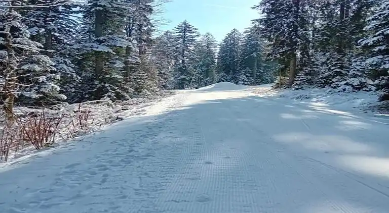 Ferielejlighed i Waldachtal