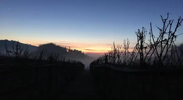 Ferielejlighed i Kniebis