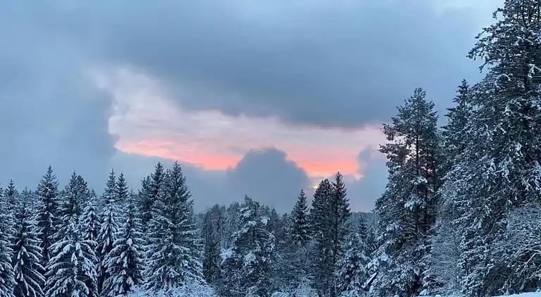 Ferielejlighed i Kniebis