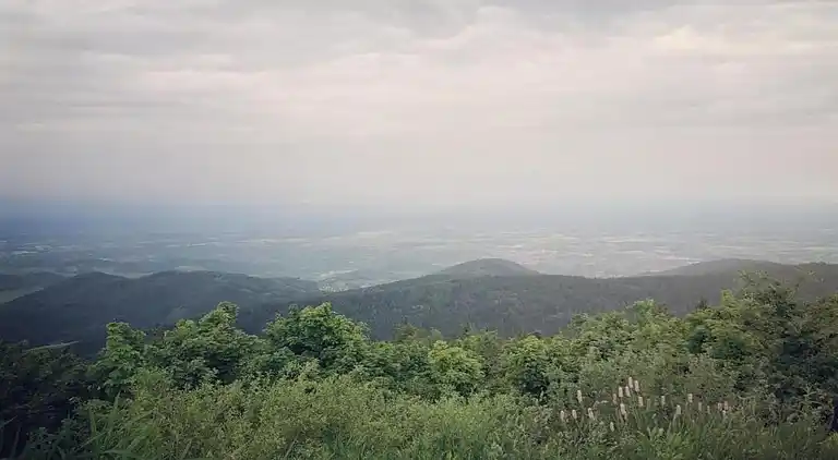 Ferielejlighed i Kniebis