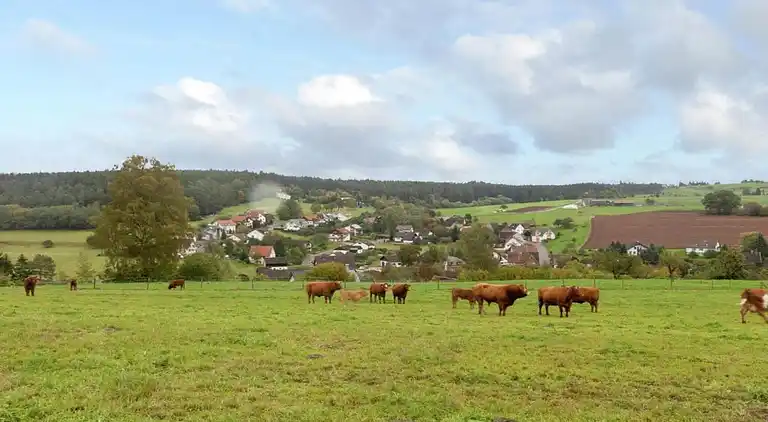 Ferielejlighed i Waldachtal