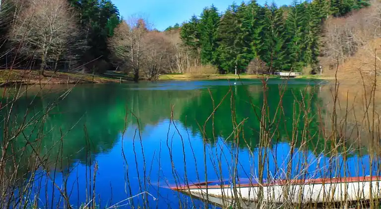 Ferielejlighed i Waldachtal