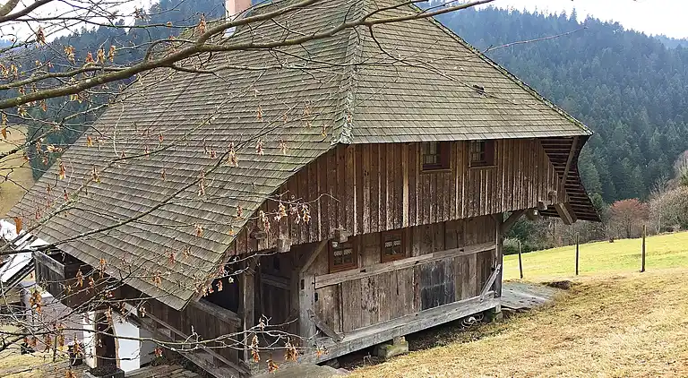 Sommerhus i Reinerzau
