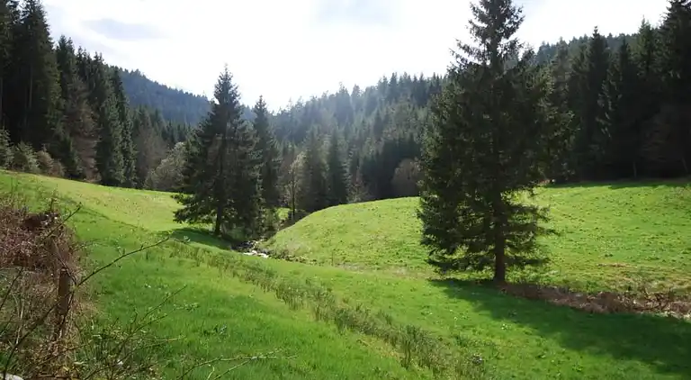 Ferielejlighed i Kniebis