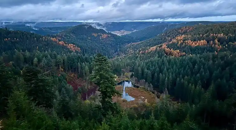 Ferielejlighed i Kniebis