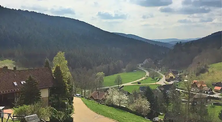 Sommerhus i Reinerzau