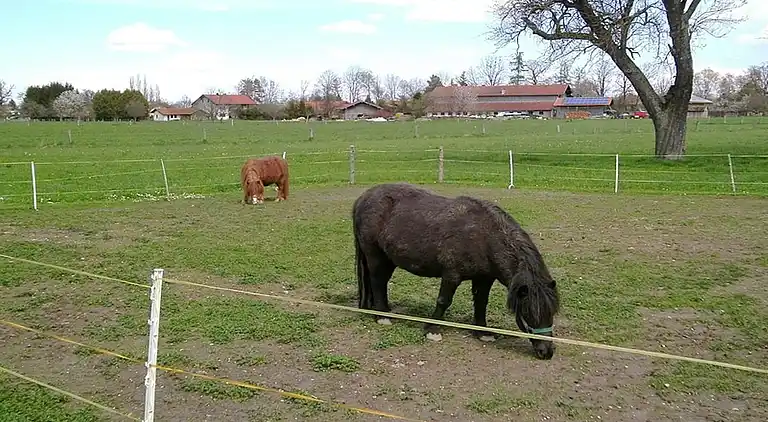 Ferielejlighed i Luft