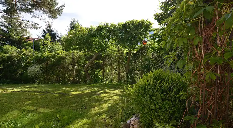 Ferielejlighed i Vordermiesenbach