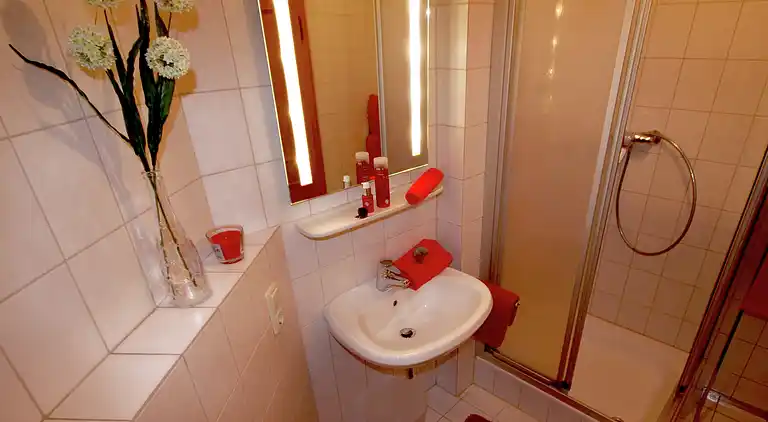 Ferielejlighed i Vordermiesenbach