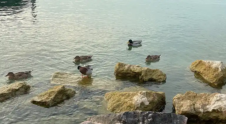 Ferienwohnung in Sirmione