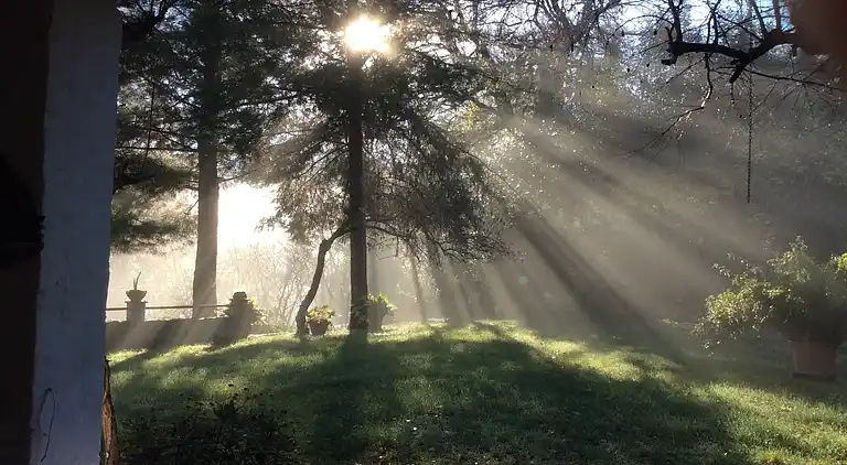 Cottage in Montefiore Conca