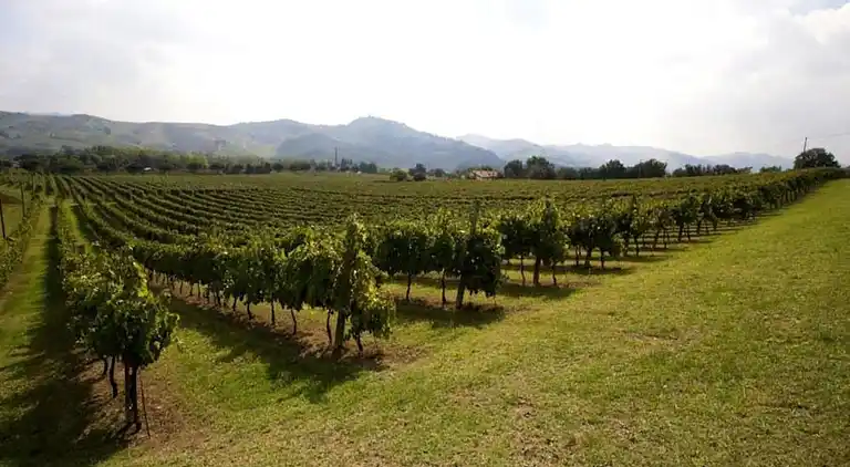 Holiday home in Brisighella