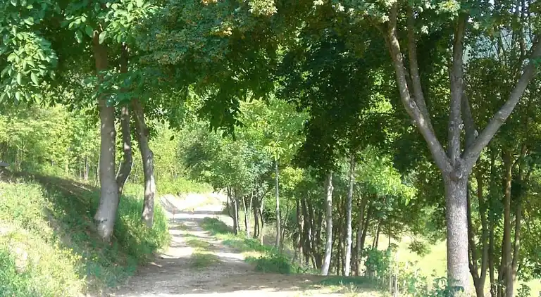 Holiday home in Brisighella