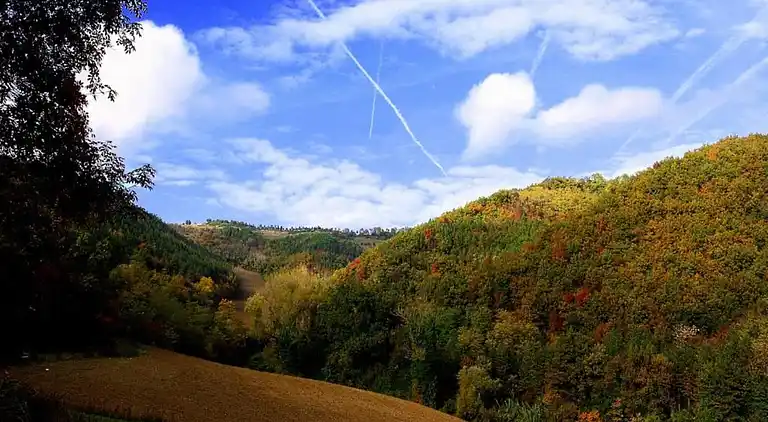Holiday home in Brisighella