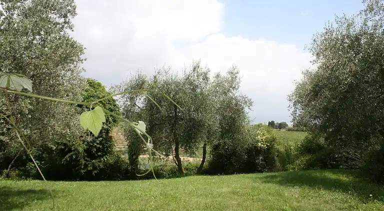 Gårdshus i Sant'Antonio