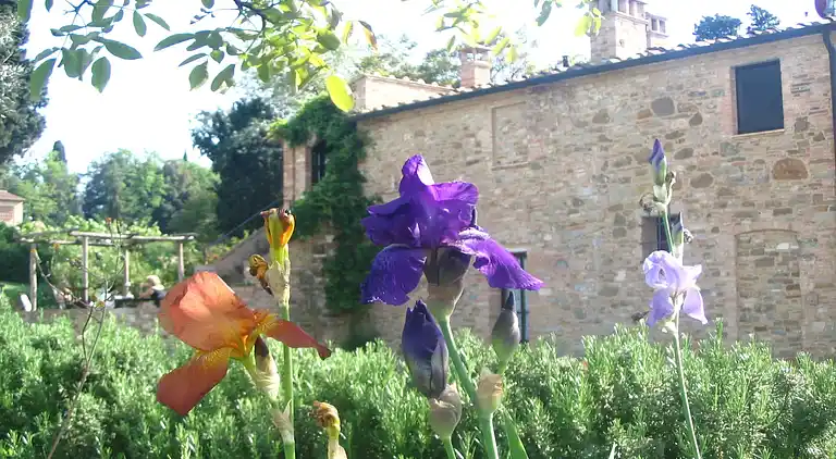 Gårdshus i Sant'Antonio