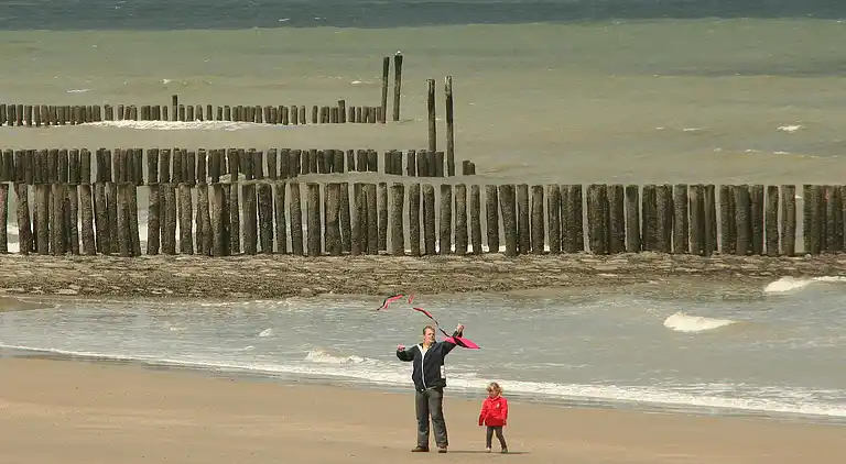 Ferienhaus in Schoondijke