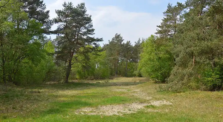 Semesterbostad i Beerze