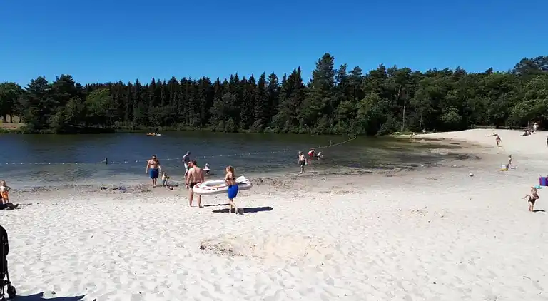 Semesterbostad i Dalfsen